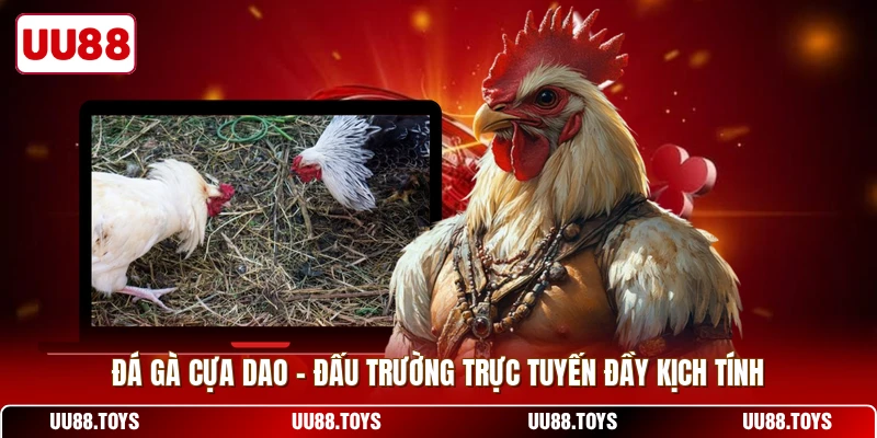 Đá Gà Cựa Dao - Đấu Trường Trực Tuyến Đầy Kịch Tính