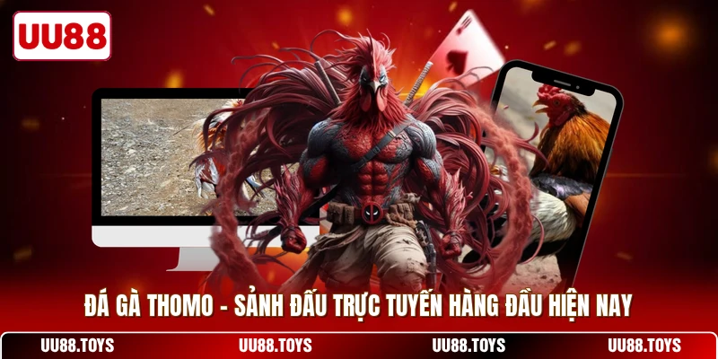 Đá Gà Thomo - Sảnh Đấu Trực Tuyến Hàng Đầu Hiện Nay