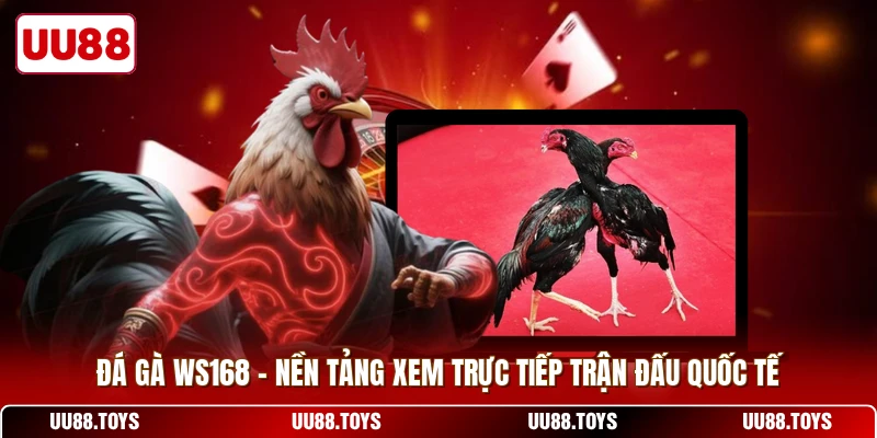 Đá Gà WS168 - Nền Tảng Xem Trực Tiếp Trận Đấu Quốc Tế