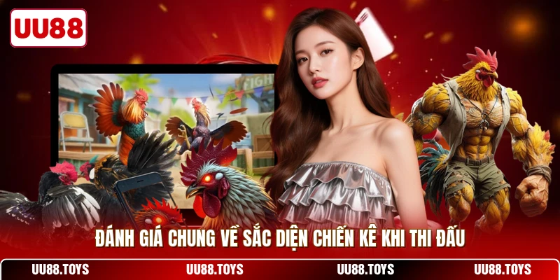 Đánh giá chung về sắc diện chiến kê khi thi đấu