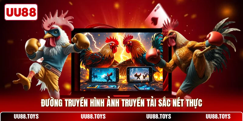 Đường truyền hình ảnh truyền tải sắc nét thực