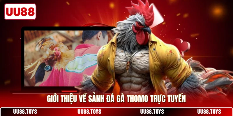 Giới thiệu về sảnh đá gà Thomo trực tuyến