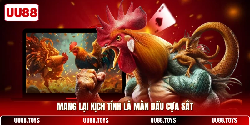 Mang lại kịch tính là màn đấu cựa sắt