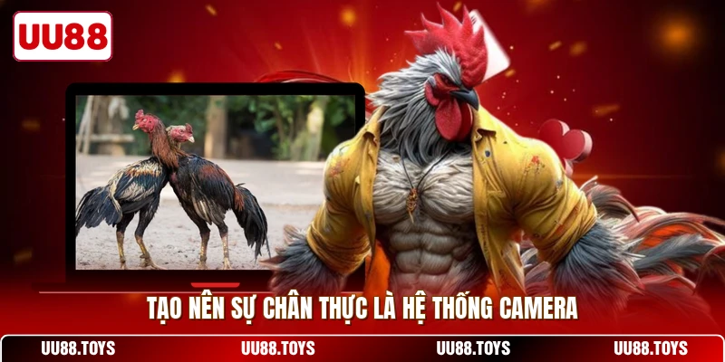 Tạo nên sự chân thực là hệ thống camera
