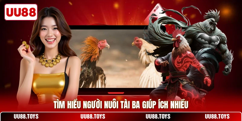 Tìm hiểu về hình thức đá gà cựa sắt