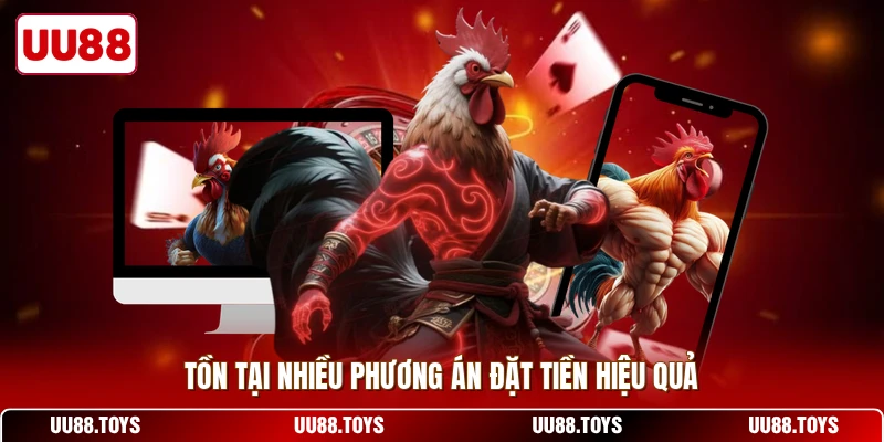 Tồn tại nhiều phương án đặt tiền hiệu quả