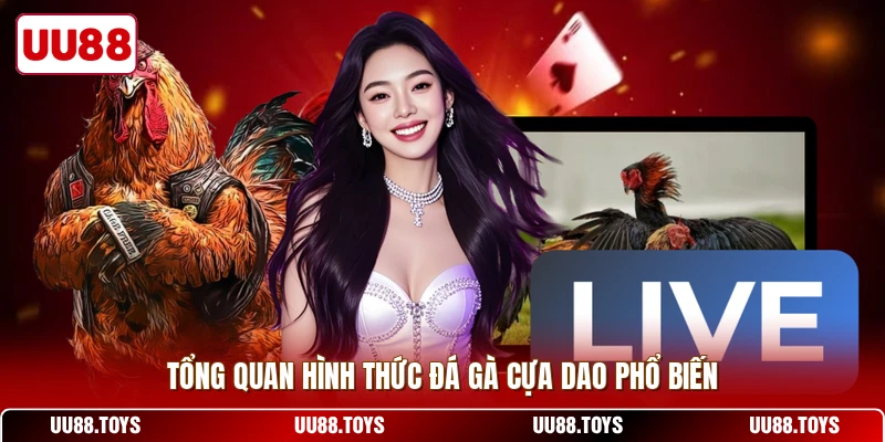 Tổng quan hình thức đá gà cựa dao phổ biến