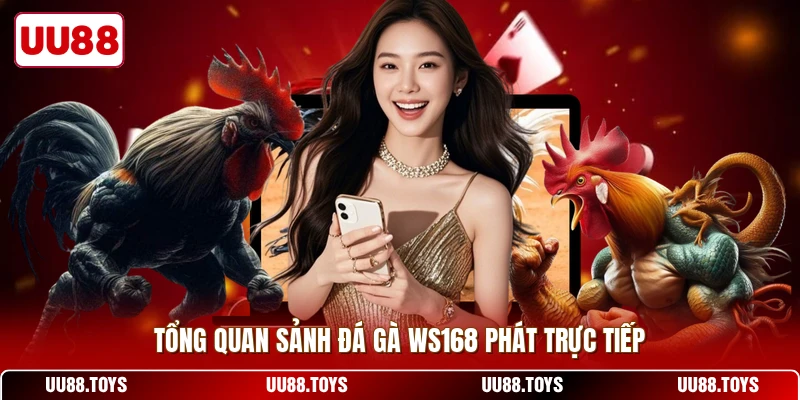 Tổng quan sảnh đá gà ws168 phát trực tiếp